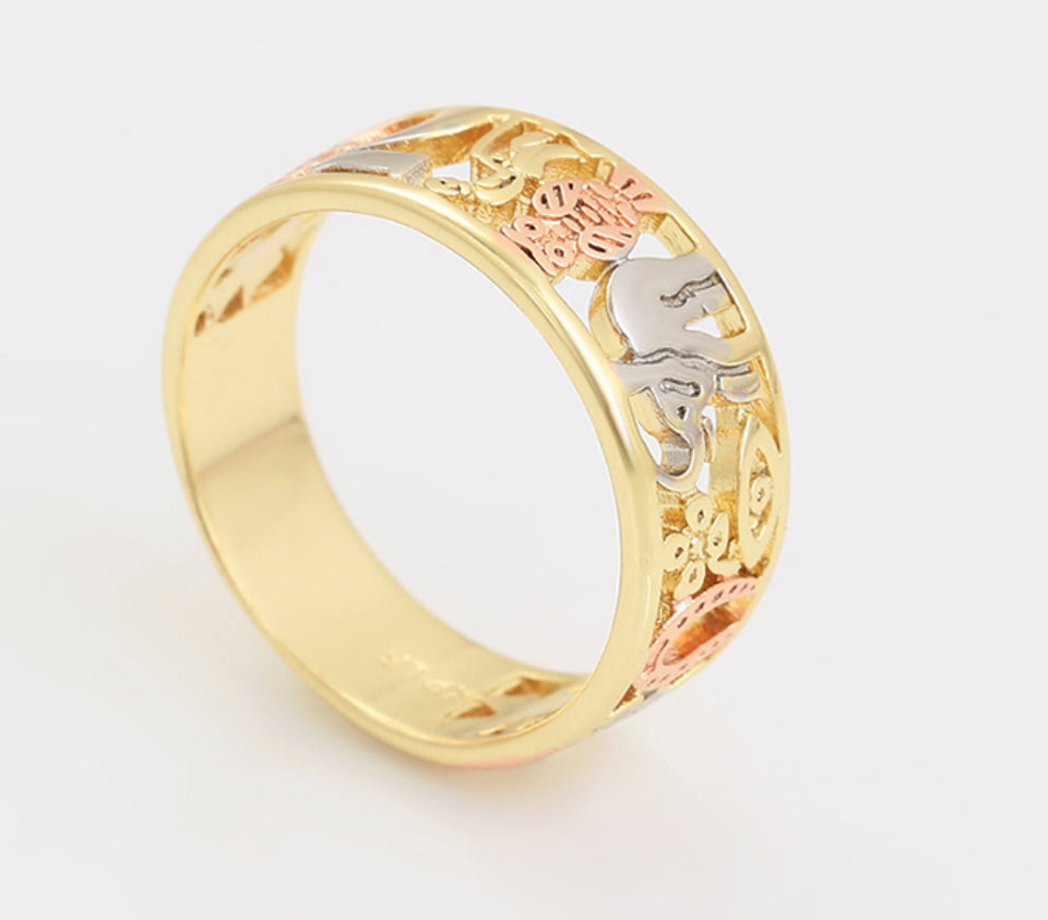 Anillo sencillo de la suerte multicolor.    (Cobre ambiental)